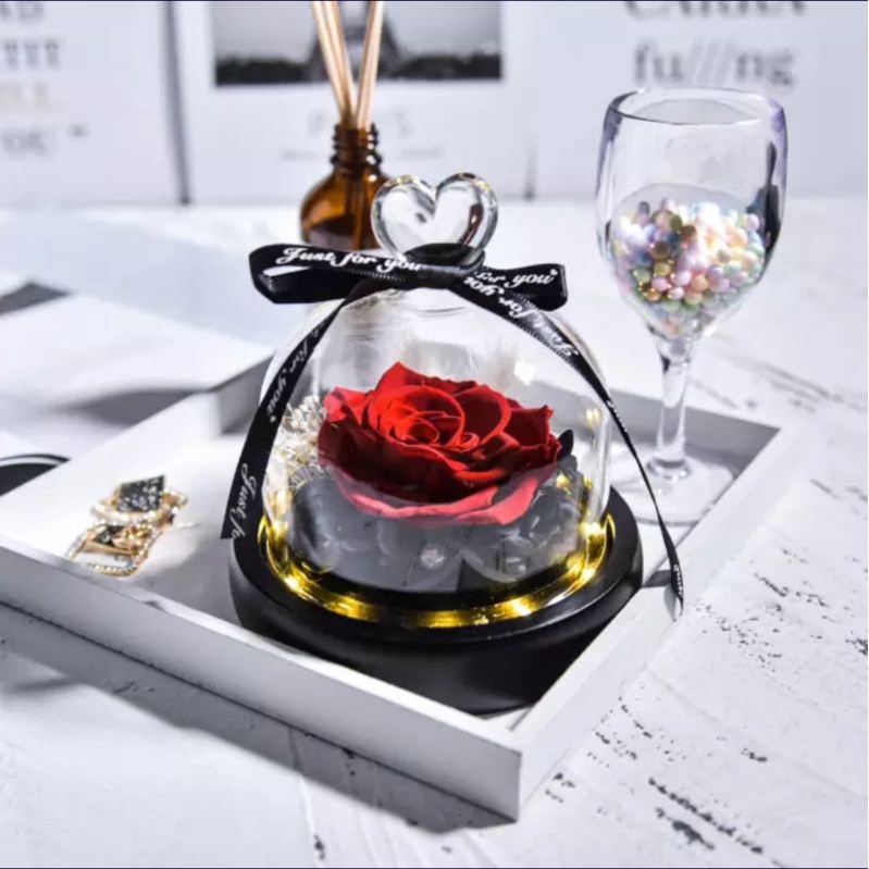 Mini rose bunga beauty and the beast glass dome kaca with lamp valentine anniversary