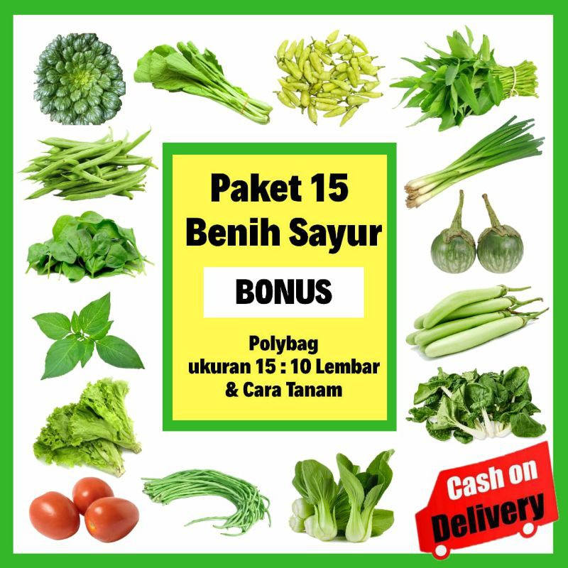 Paket Bibit Benih Sayuran Sayur Pemula Unggul Hidroponik Shopee Indonesia