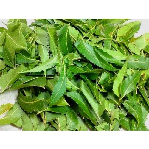 

Daun Mimba | Bubuk | 500gr
