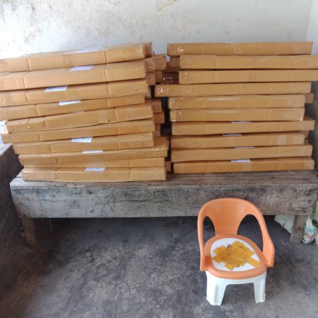 

Bibit cutting angur isabela
