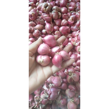 

Bawang Merah super