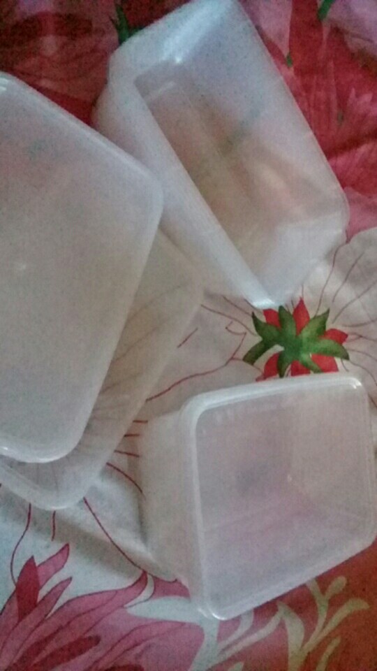 Thinwal/ Food Container/ Tempat Kotak Makan 750 Ml