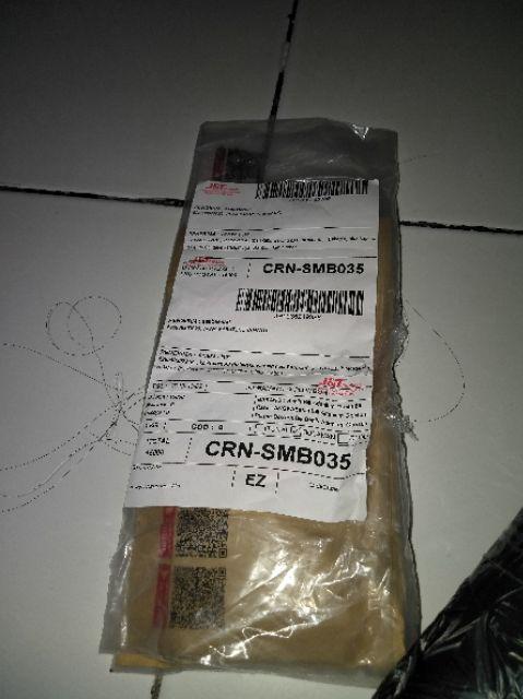 Bibit Biji Palem Merah Lipstick Palm