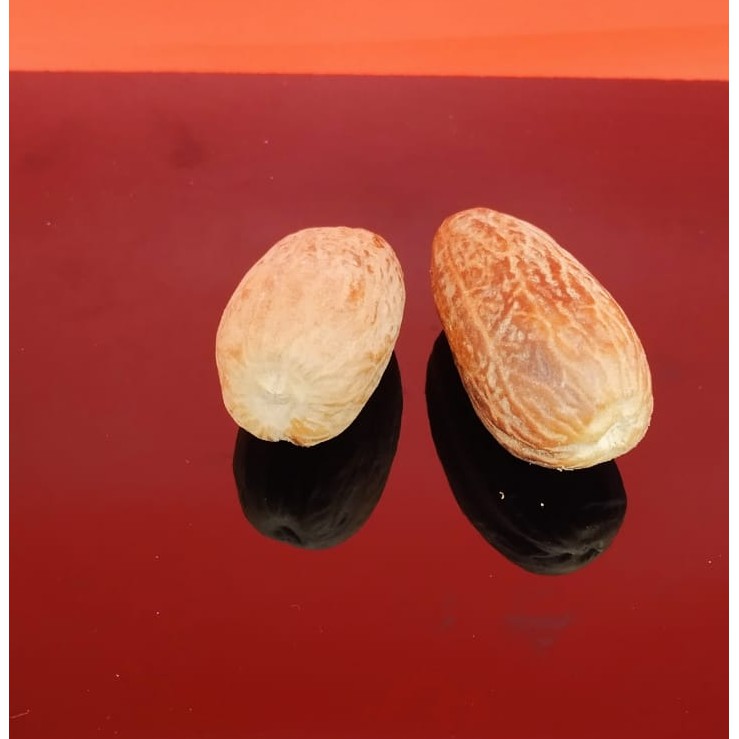 

Buah Pala