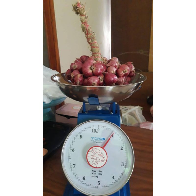

Brambang-Bawang Merah