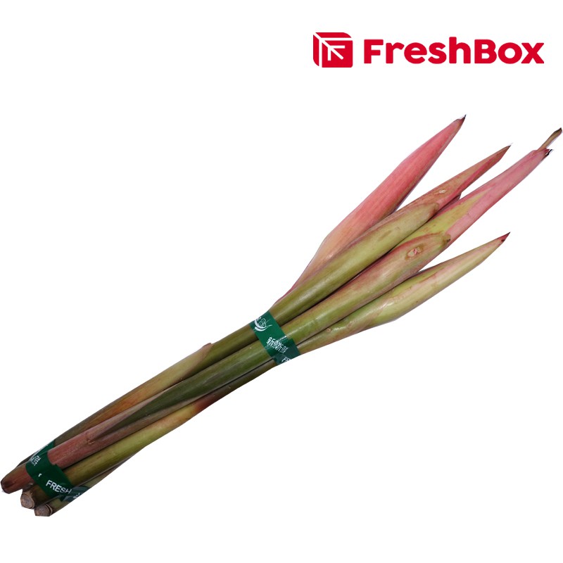 

Kecombrang Dengan Batang Utuh 200 - 250 gr FreshBox