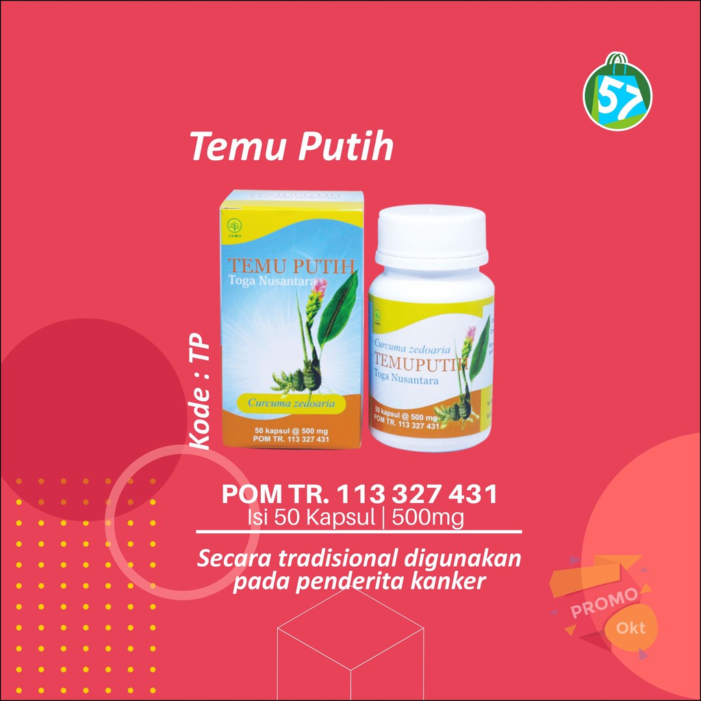 TEMU PUTIH obat herbal untuk Kanker