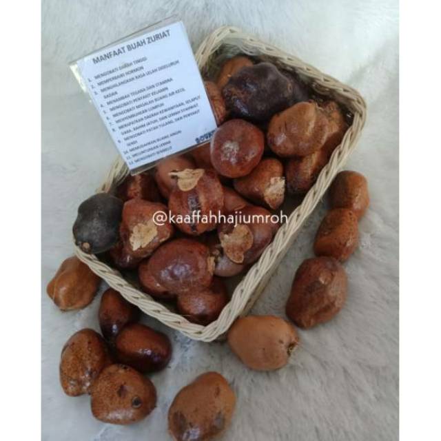 

Buah Zuriat Kiloan