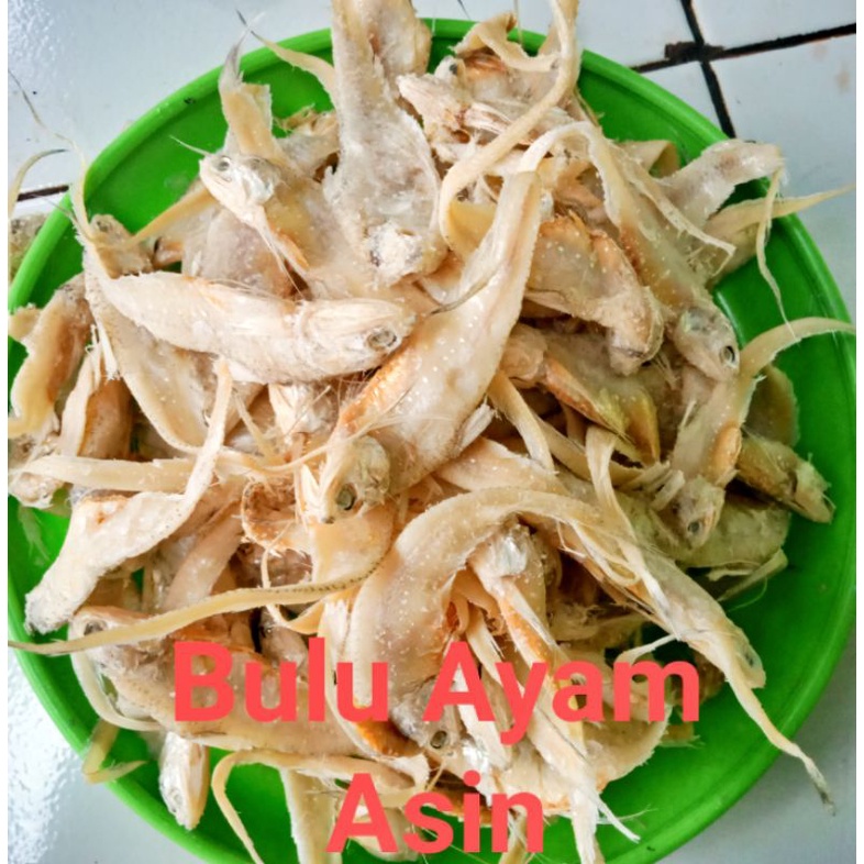 

IKAN ASIN BULU AYAM