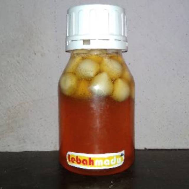 [Kikuk*] Madu Bawang Tunggal Lanang 340 gr-2