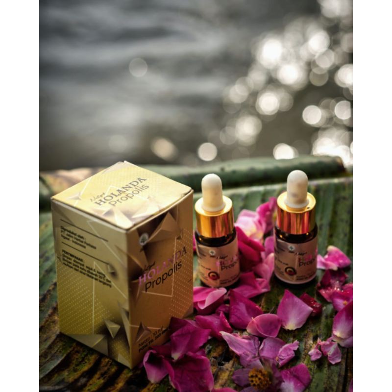 HOLANDA PROPOLIS ATASI KOLESTEROL TINGGI
