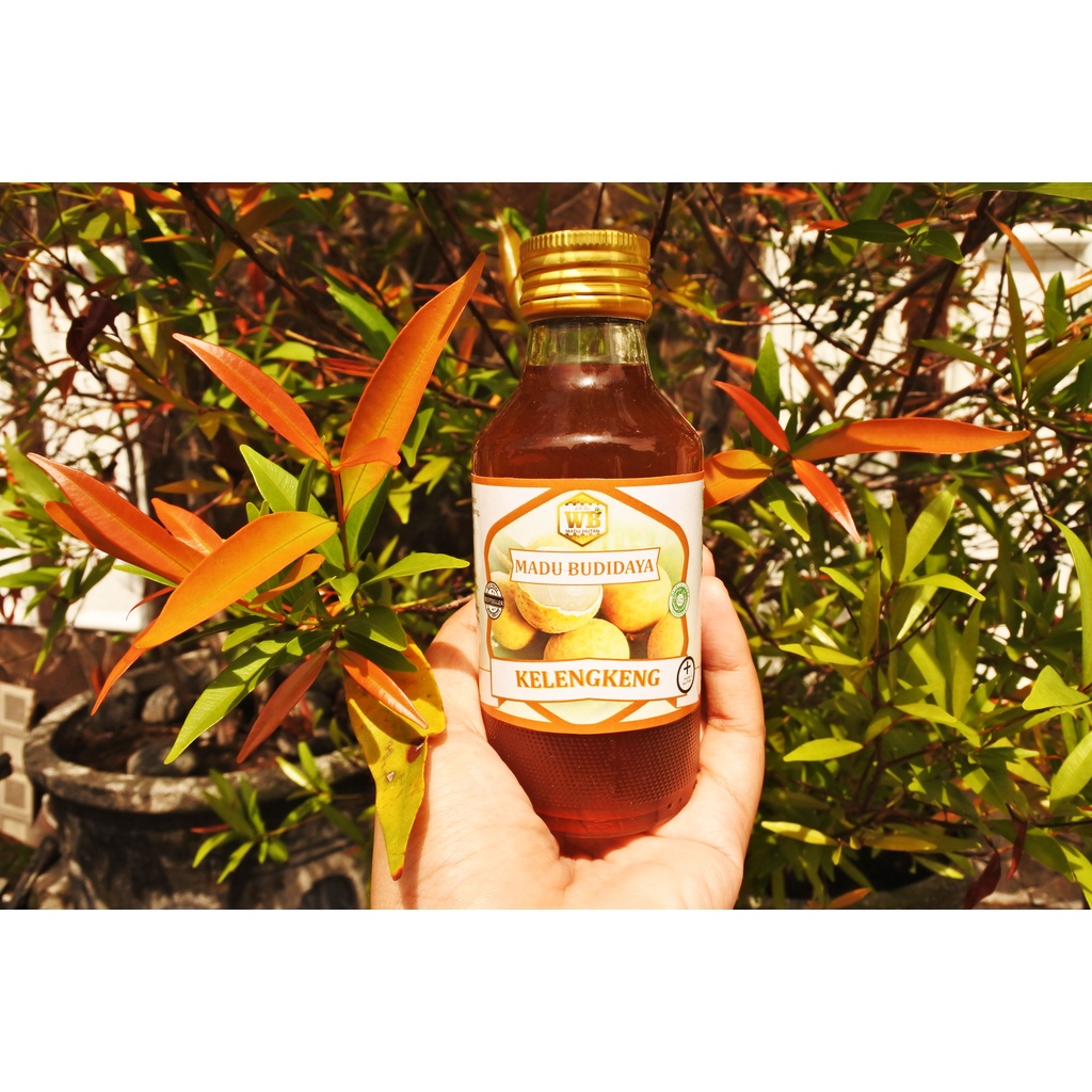 

Madu Kelengkeng / Lebah Apis Melifera -Garansi Murni & Asli 100 Try kit