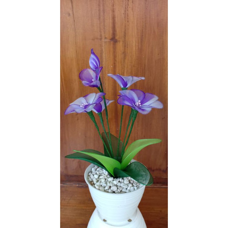 bunga hias anggrek stoking