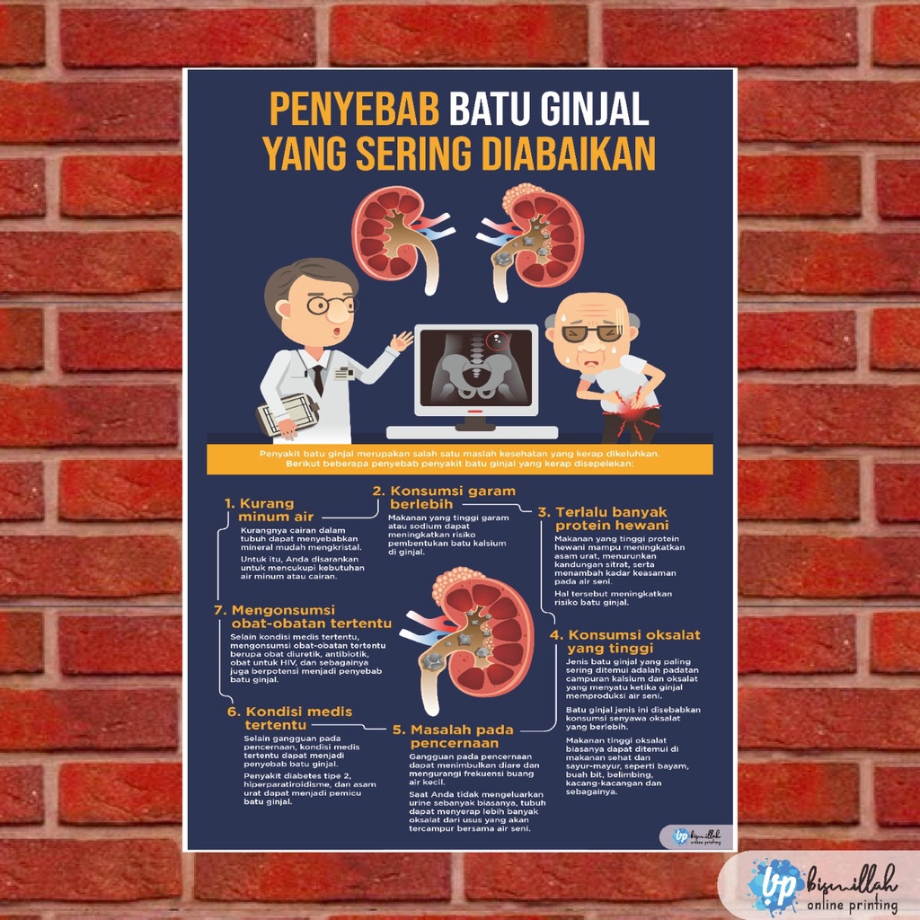 Jual Poster Penyebab Batu Ginjal Yang Sering Diabaikan | Shopee Indonesia