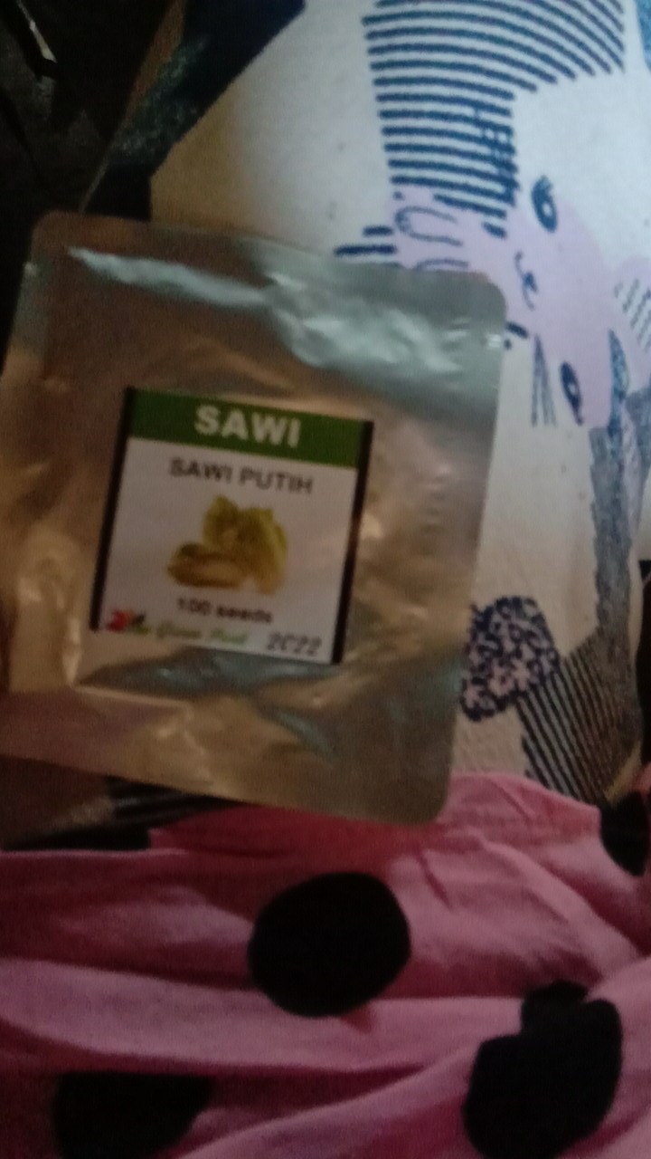 Benih Biji Sawi Putih Pack - 100 Biji - Gp