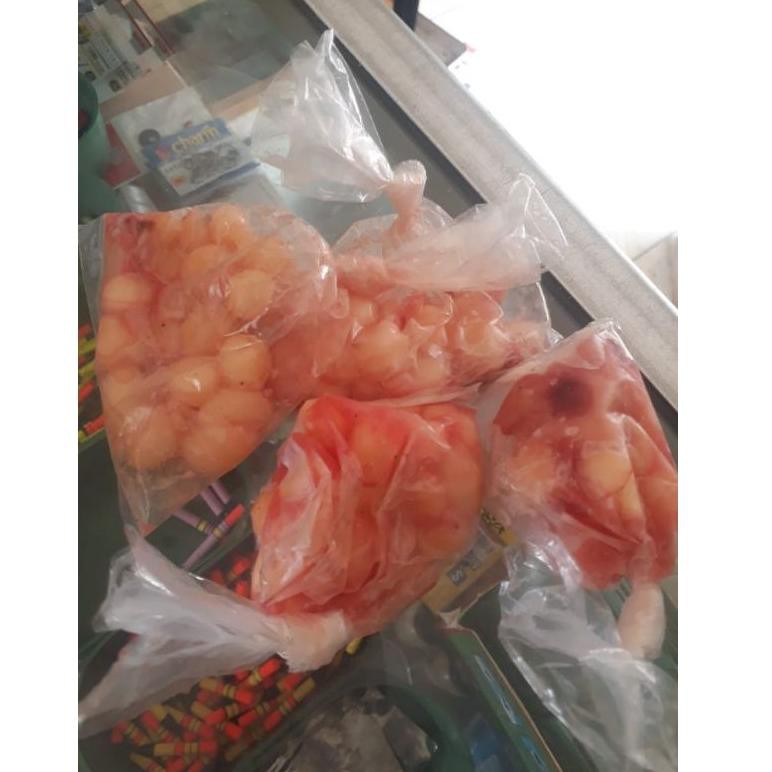 

[KODE HB7319] Telur Uler Kadut