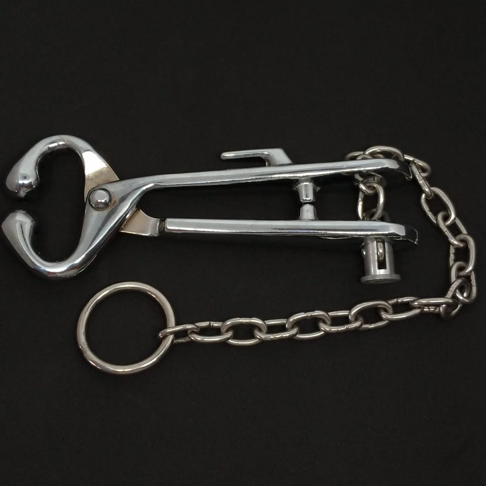 Bull Holder With Chain