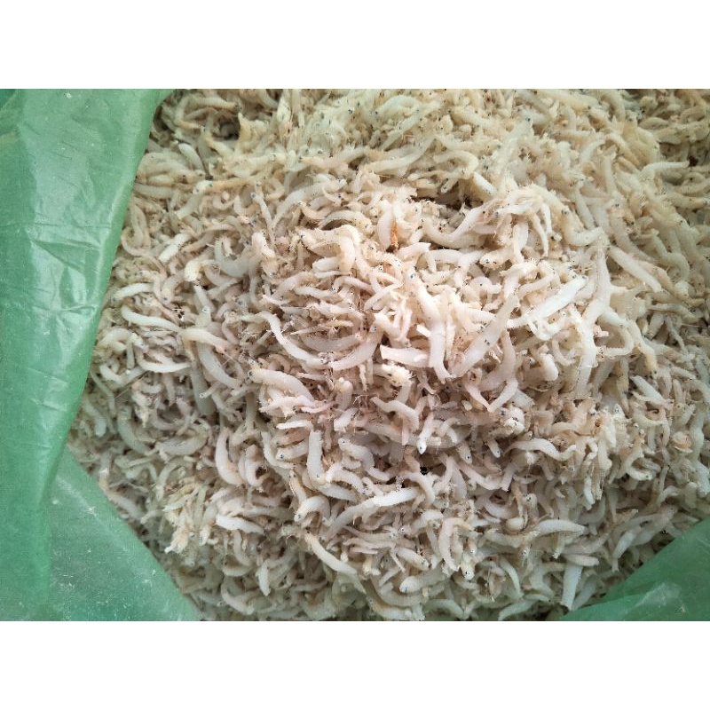 

Teri Nasi 250 gram