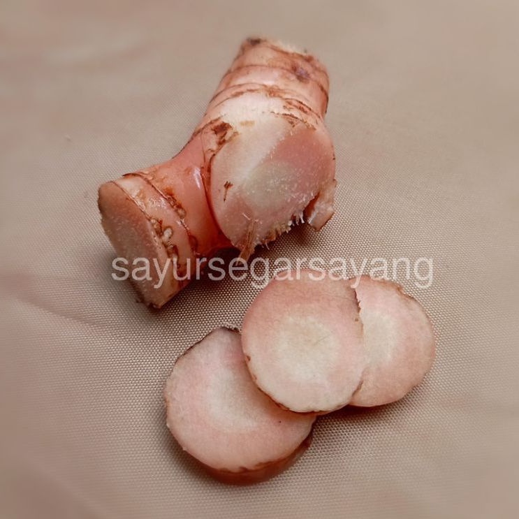 

Lengkuas Laos 500gr