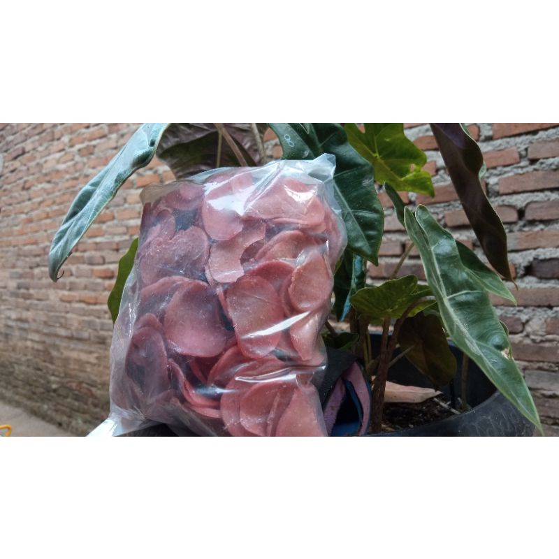 

kerupuk terasi