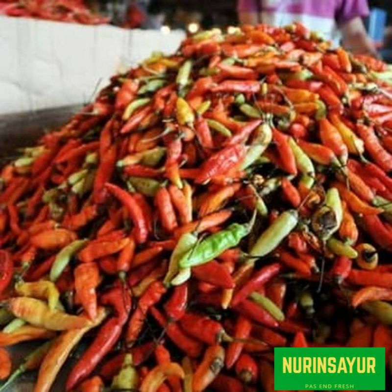 

Cabai merah
