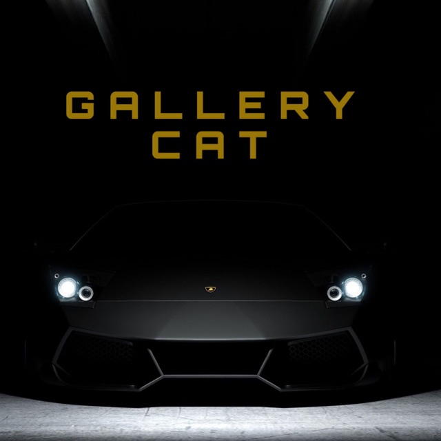 Toko Online tokogallerycat Shopee Indonesia Toko Online tokogallerycat Shopee Indonesia