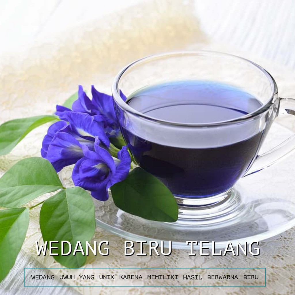 

Wedang Telang Biru " Minuman Unik Yang Kaya Manfaat