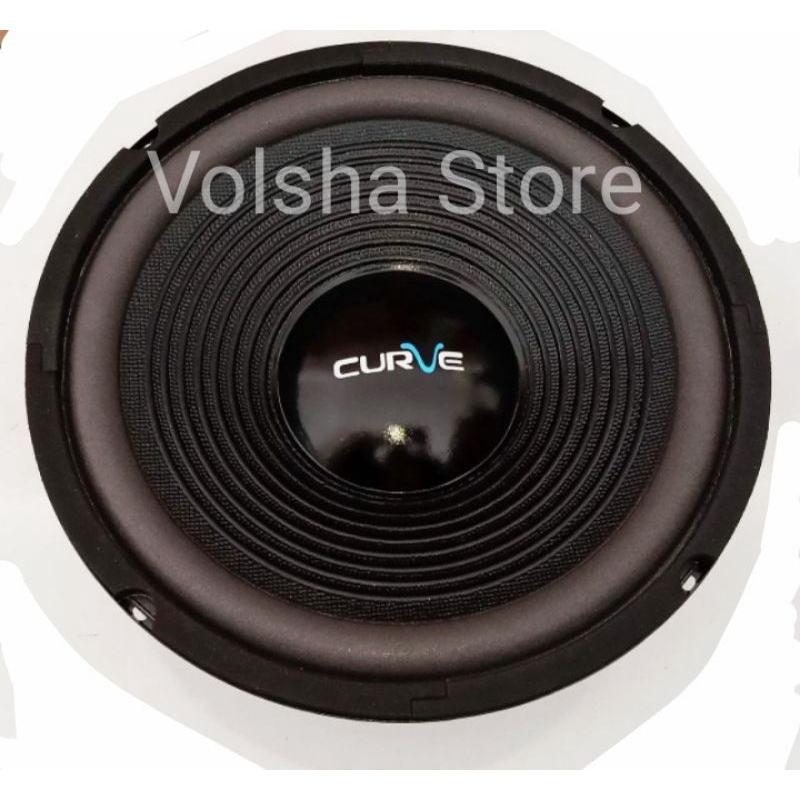 CURVE 10" INCH WOOFER 300 WATT