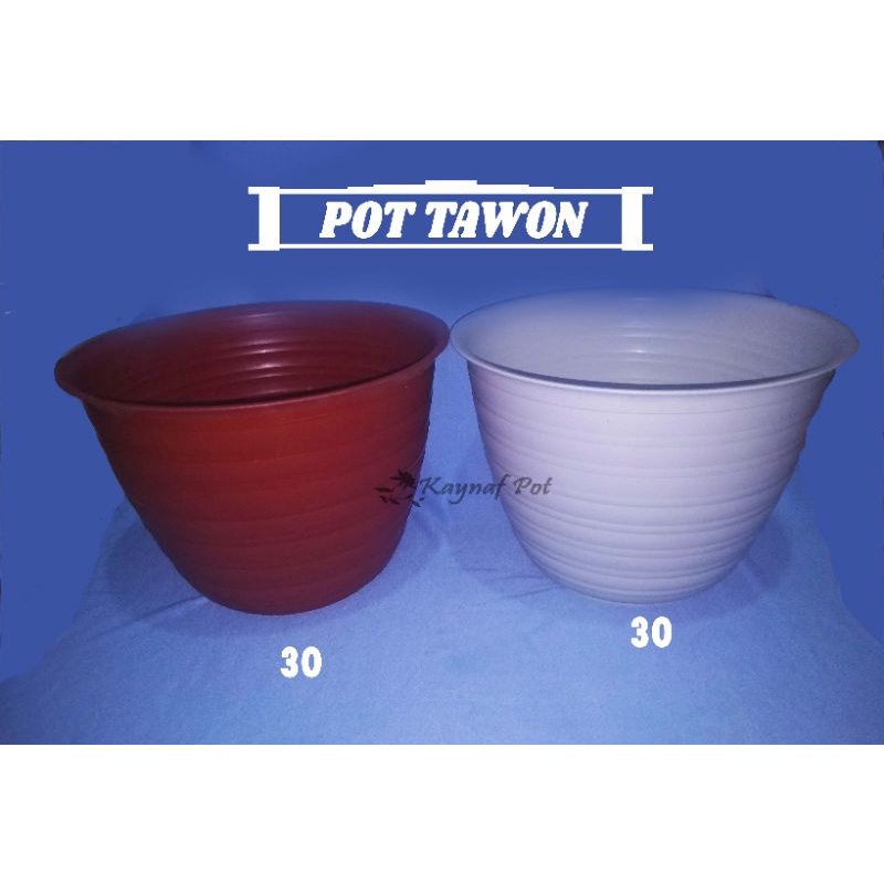 Pot Ruby Tawon 30 Putih Merah Bata | Pot Termurah
