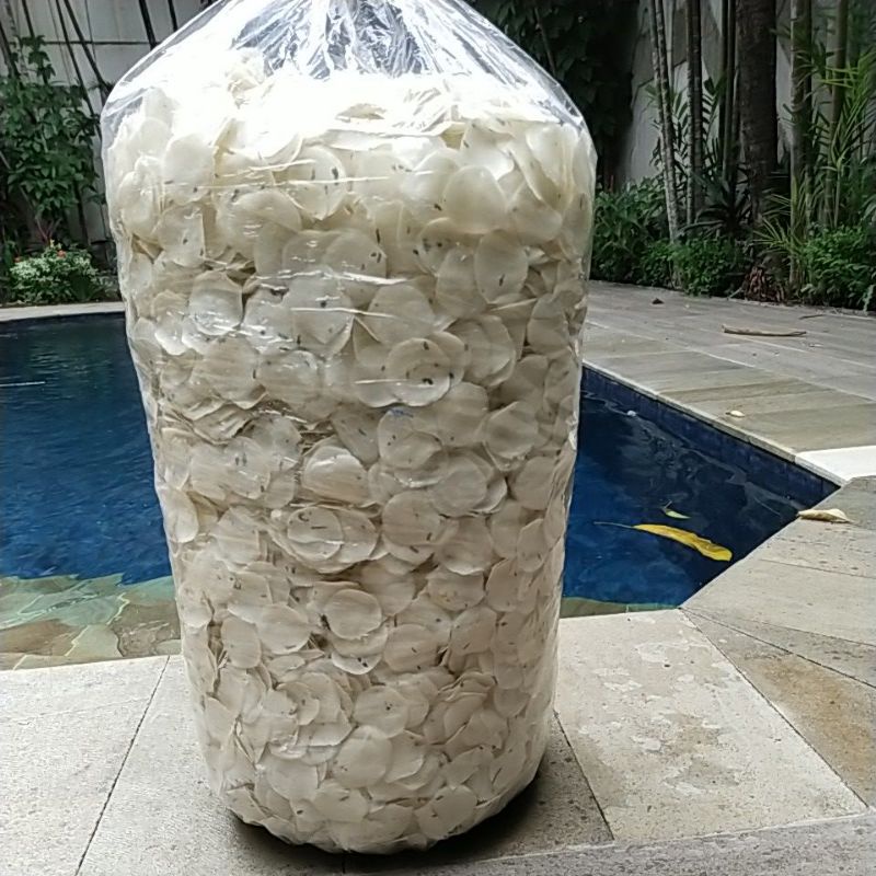 Kerupuk opak coin/singkong 1 bal 5 kg