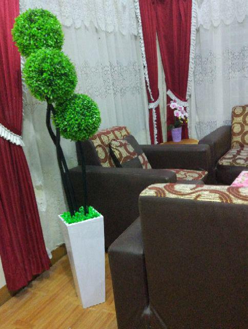 Bonsai Sudut / Bunga Sudut