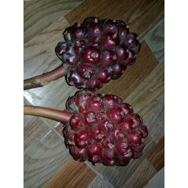 

buah hoje laka 1 kg