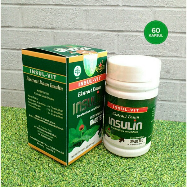 

Kapsul Daun Insulin Herbal Daun Insulin Isi 60 Kapsul