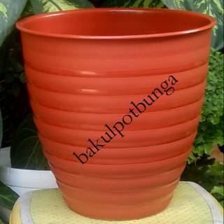  Pot  Tawon  Tirus  Pirus 27 Putih  dan Coklat Shopee Indonesia