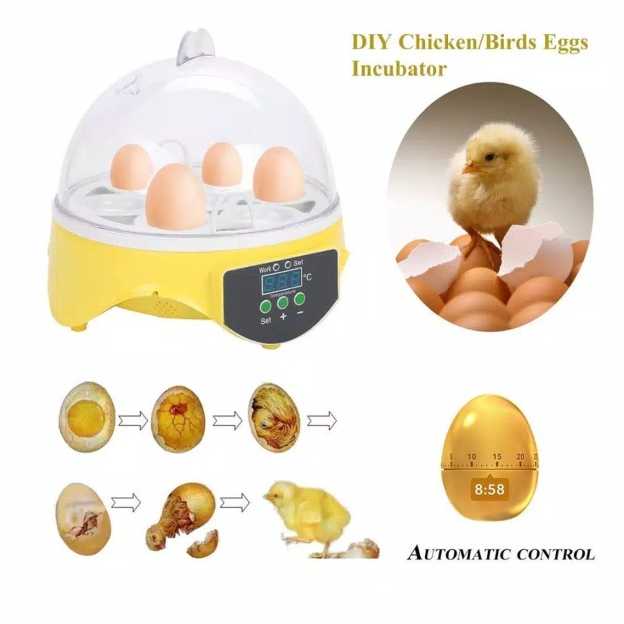 Inkubator mini Mesin Penetas Telur burung ayam merak punyuh unggas