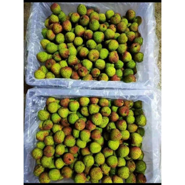 

Buah leci fresh