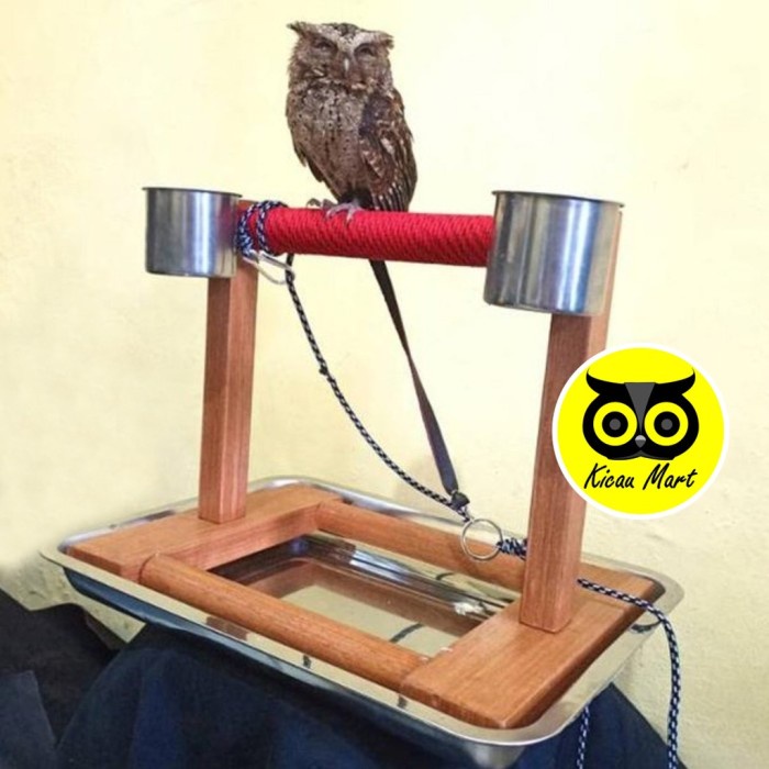 Tangkringan Parrot Mini Besi Tangkringan Burung Falk Nuri Betet Tkbh