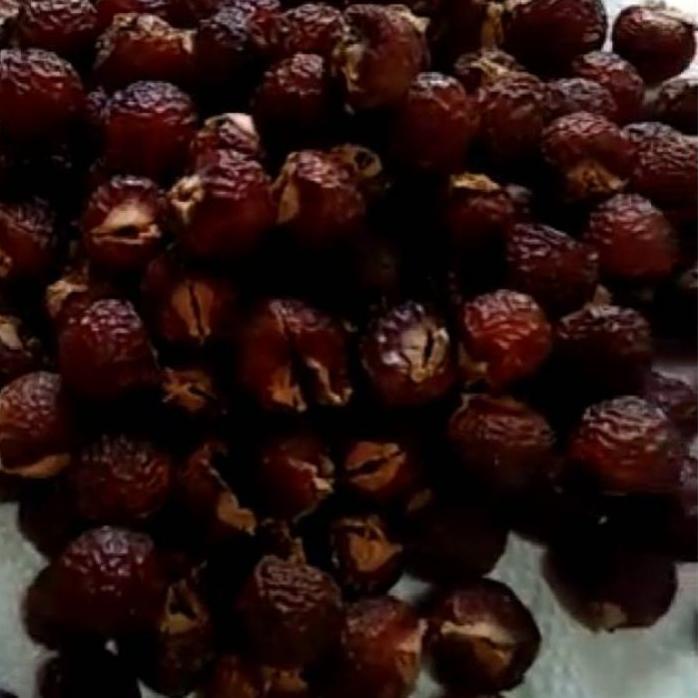 

Terlaris biji lerak daging tanpa biji 1KG kualitas super