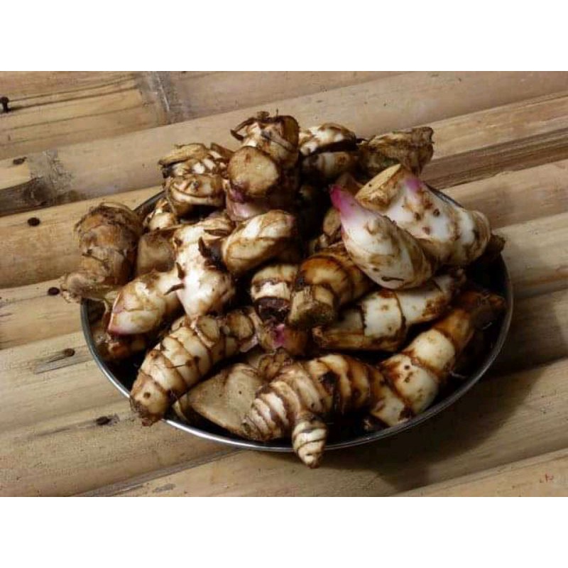 

umbi ganyong 1kg