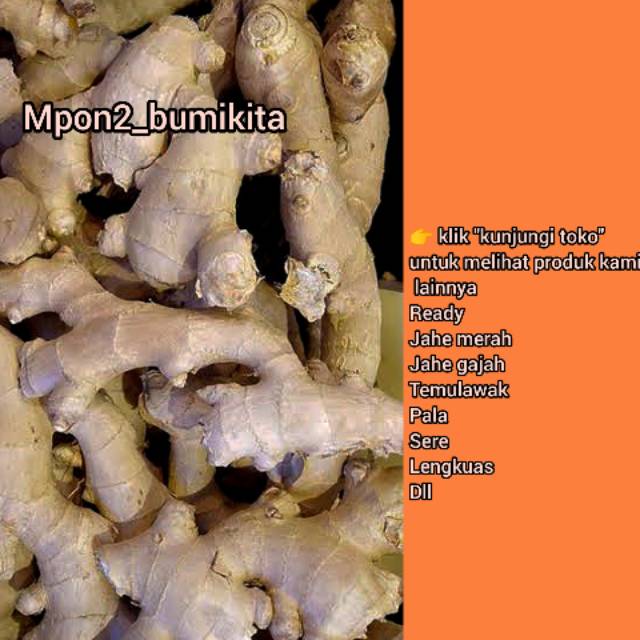 

*Gratis ongkir* JAHE EMPRIT 1 KG