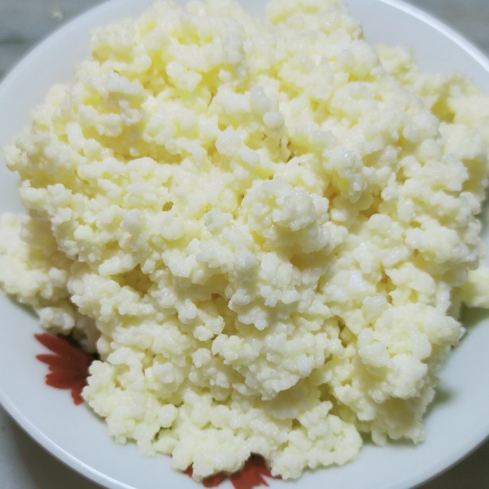 

Bibit Kefir Asli 50 Gram (BERKUALITAS)