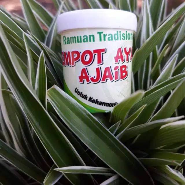 MPOT AYAM MIMI AJAIB