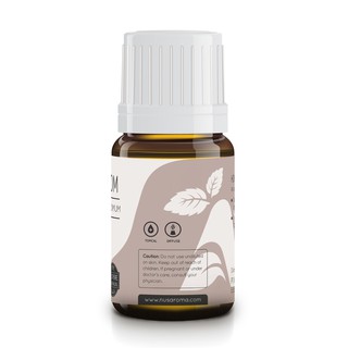 Nusaroma Cardamom Essential Oil Minyak Kapulaga  100 