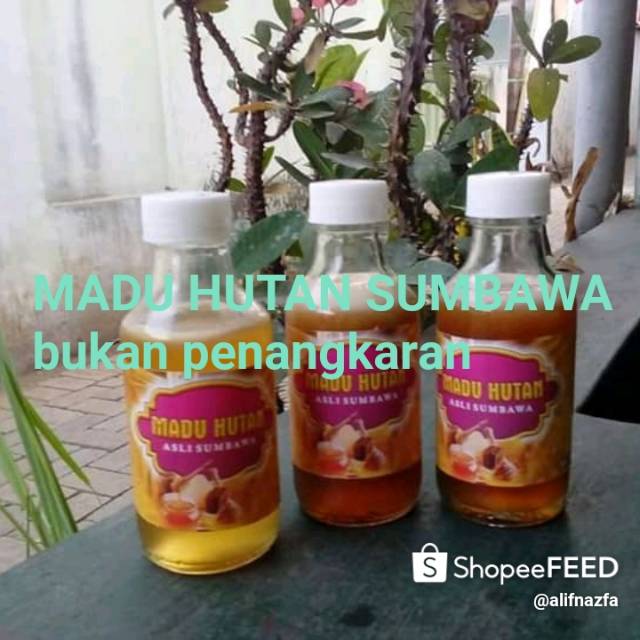 

Madu hutan sumbawa