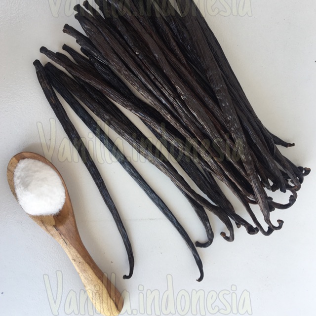 

Gourmet Vanilla Bean / Vanili Planifolia ( Madagaskar ) Premium 20 Gr