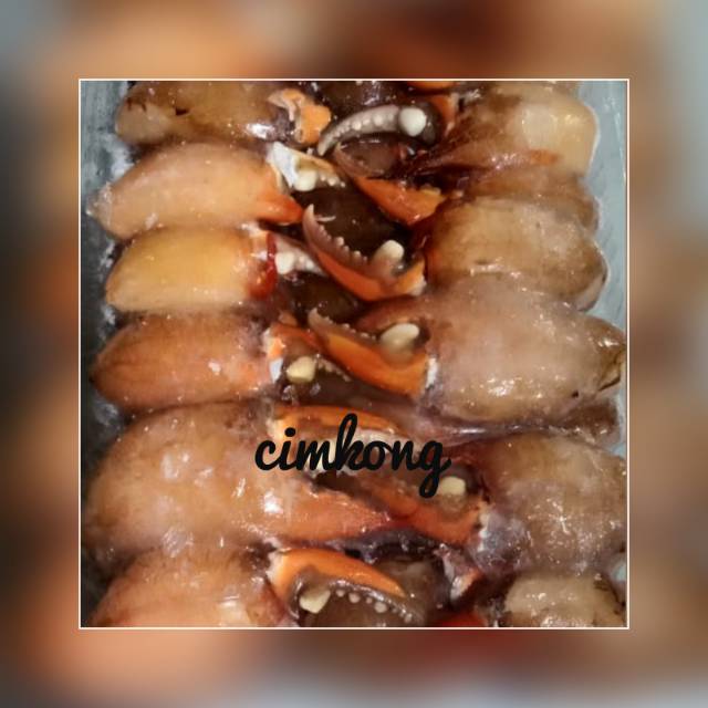 

Cimkong