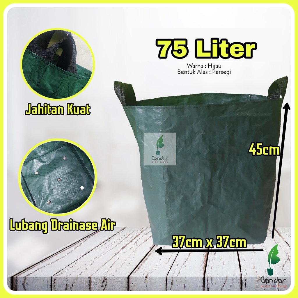 planter Bag Hijau Premium 75 Liter / Kantong Tanaman / Pot Terpal