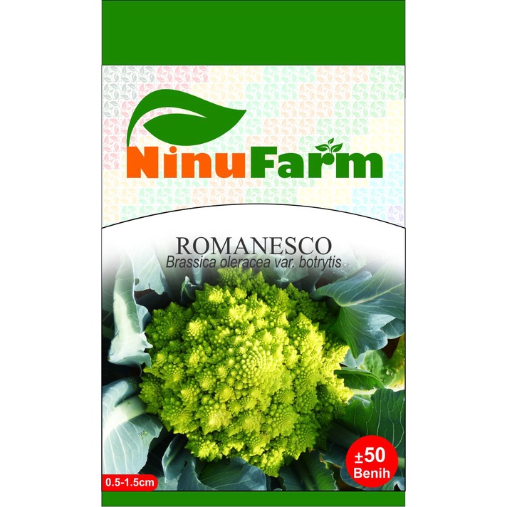Benih Brokoli Romanesco 50 Seeds
