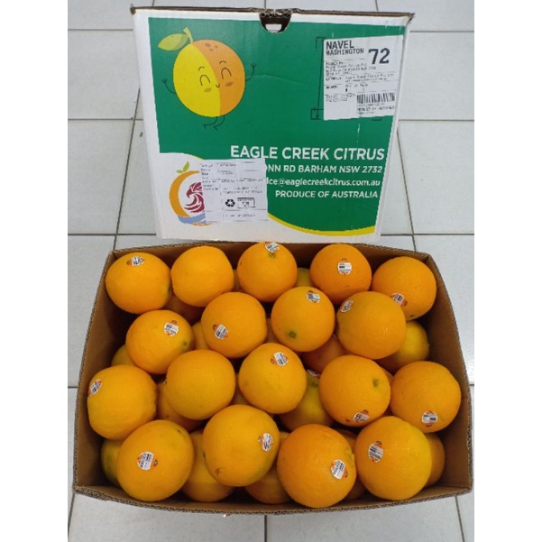 

SUNKIS NAVEL
