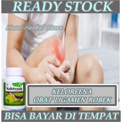 Obat Cedera ACL, Ligamen Robek, Lutut Sakit Dan Bengkak, Lutut Sulit Digerakan I Keloreena ASLI